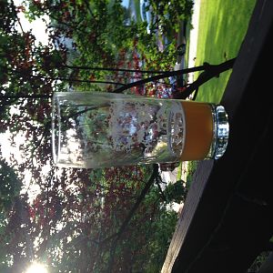 Beer Pics