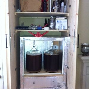 fermentor pics
