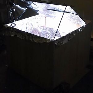 Indoor Incubator