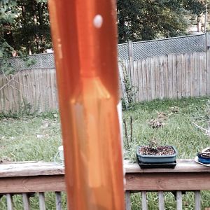 First Ever Brew