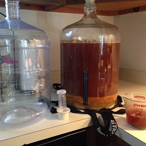 Basement Sudsman Brewing