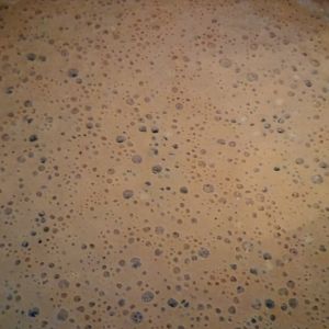Grainfather