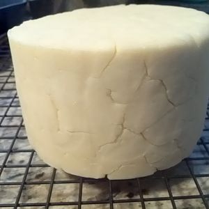 cheese
