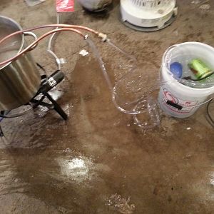First brew