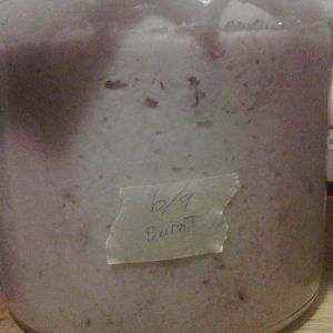 Chinese rice wine