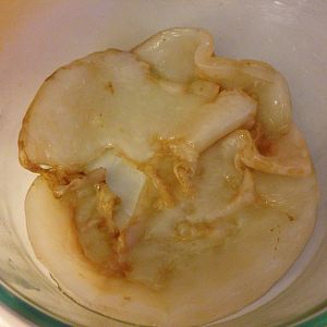 Kombucha