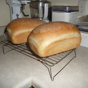 Bread