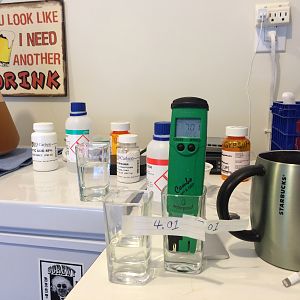 High Gravity Brewing
