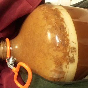 The latest Brew