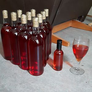 Brewing and Winemaking projects