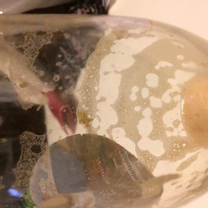 IRC Brewing