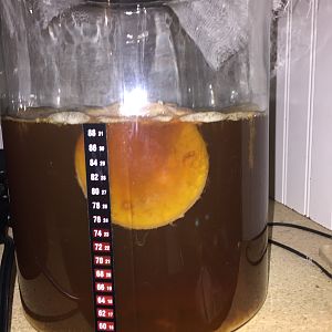 To Mold or Not to Mold