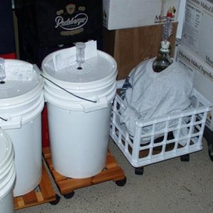 Fermenting Away...