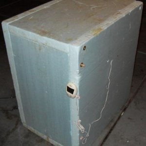 SDC10377