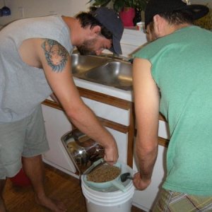 steeping the grains