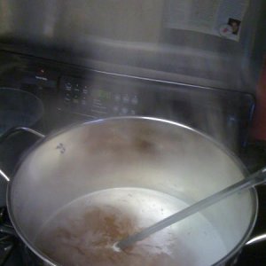 First Batch Underway