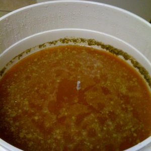 First Batch taking a gravity reading