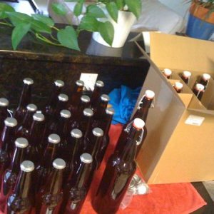 First batch bottled!