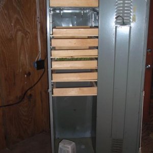P8160139