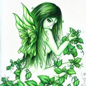 Greenfairyipalogo