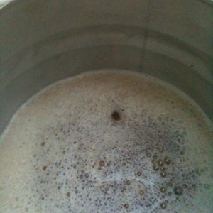 IMG 0102