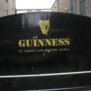 IMG 0335