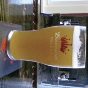 My 1st beer out of it..