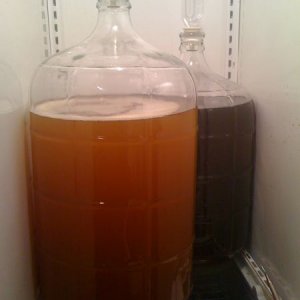 lagering fridge