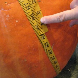 Height
