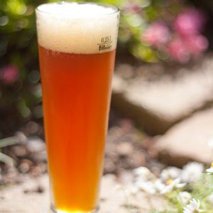 Amber ale
