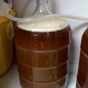 Stone Ruination six hours after pitching.