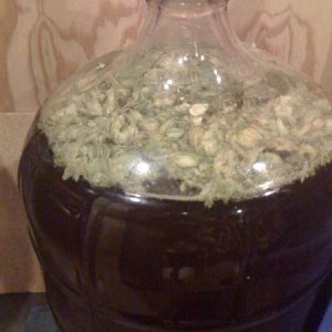 Dry hopping, Bells Two Hearted  clone