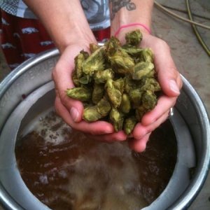 wet leaf hop addition