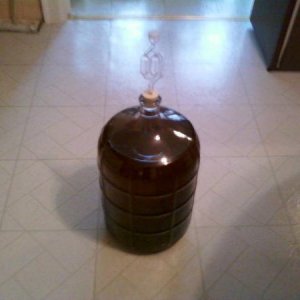pear cider in carboy