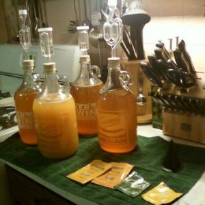 cider trials