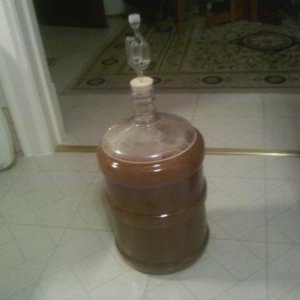 nottingham ale, 3lbs honey, pastuerized juice