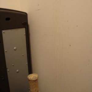 I sure wasn't expecting the Kolsh 2 strain to go this nuts, this is 10 hours after brewing.