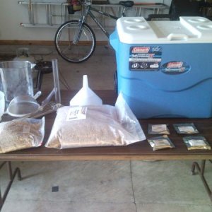 all grain