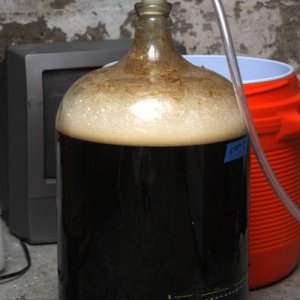 3rd brew ever. 
Washed 1084 wyeast/1L starter