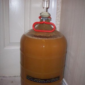 Honey Kolsch