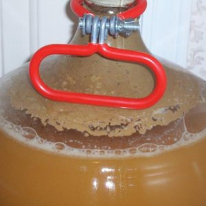 Honey Kolsch - After Blowoff