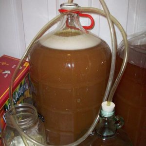 Cent PA - Fermentation Starting after 4 hours