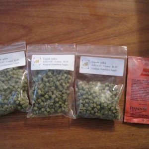 hops and yeast
