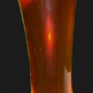 first beer i made... forgot what it was though