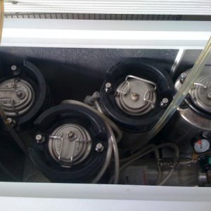 Kegorator Interior