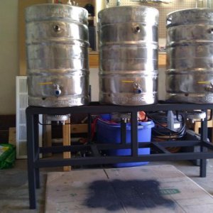 IMG 20101218 113244