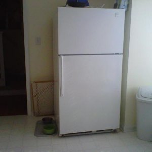 Free fridge a very generous friend donated to me.