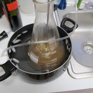 Aerating the started wort