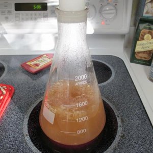 Here comes the boil