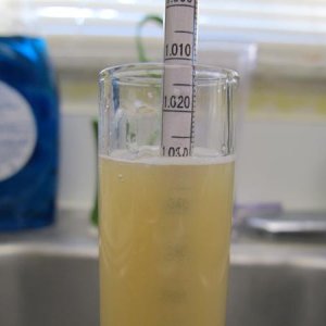 OG 1.030